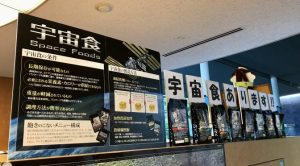 なくなり次第終了!ミュージアムショップdeミニプレゼント 2018 夏