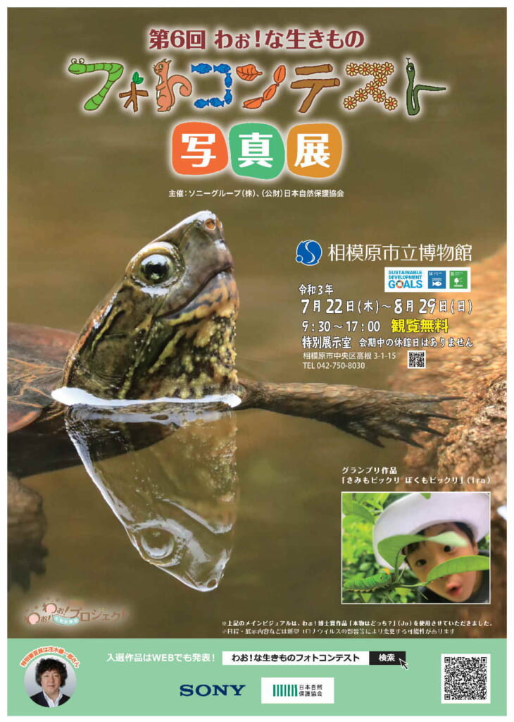 「第6回 わぉ！な生きもの フォトコンテスト写真展」