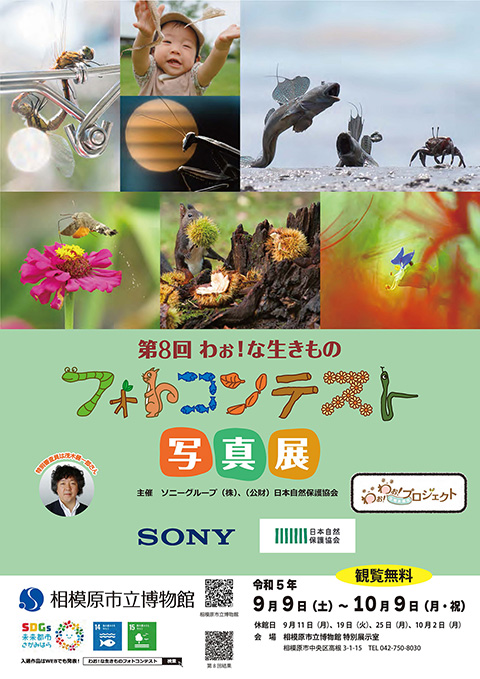 「第8回 わぉ！な生きもの フォトコンテスト写真展」
