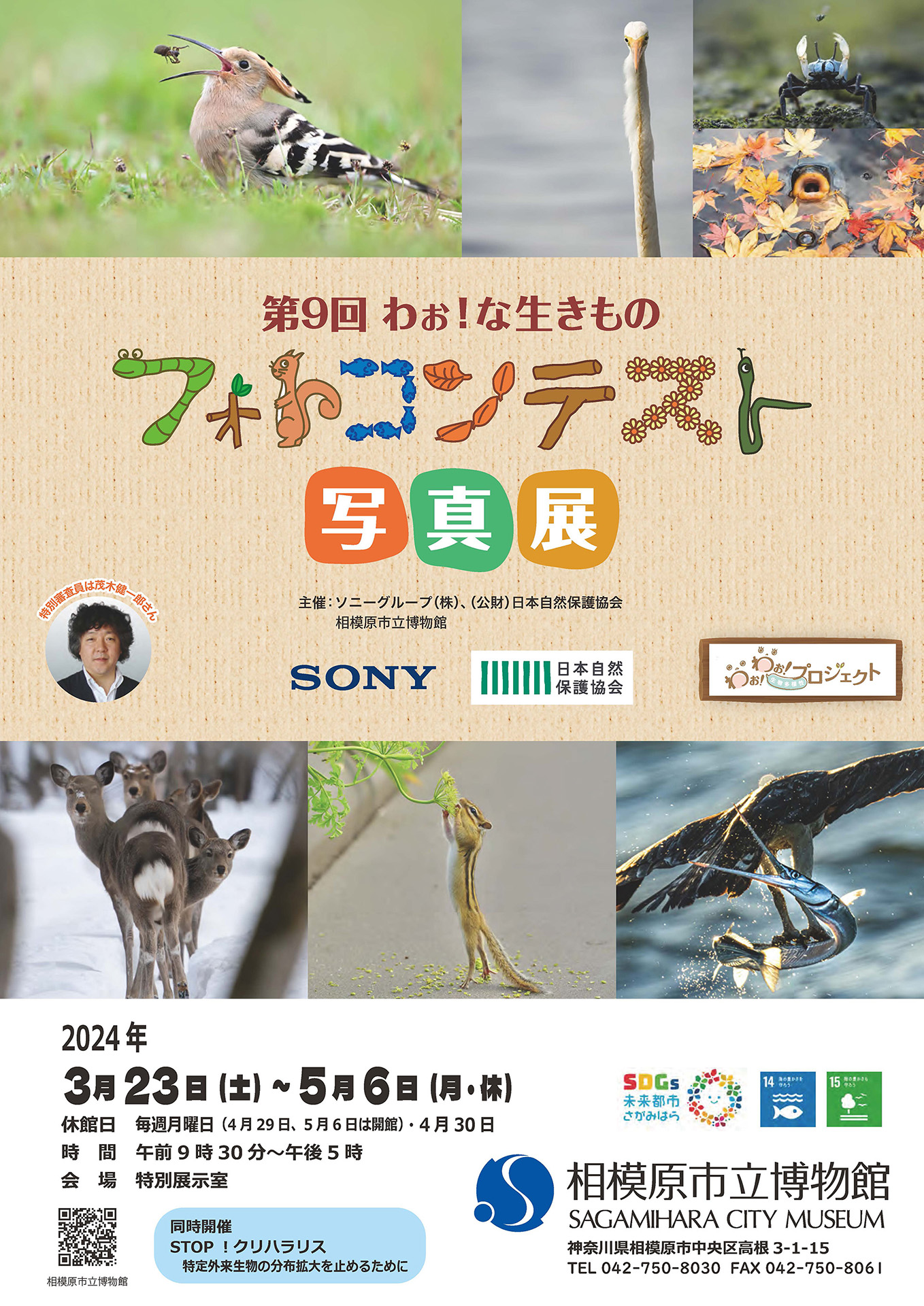 「第9回 わぉ！な生きもの フォトコンテスト写真展」