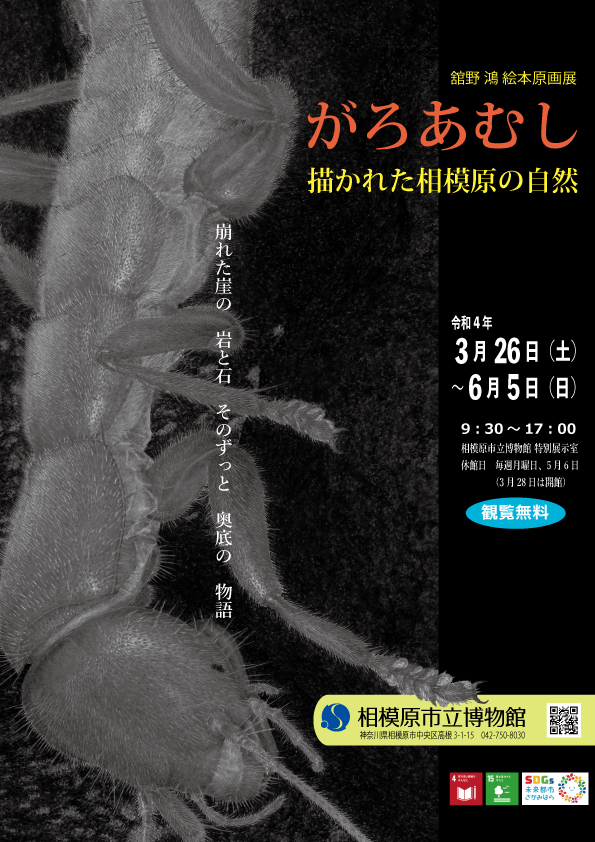 舘野鴻絵本原画展「がろあむし 描かれた相模原の自然」