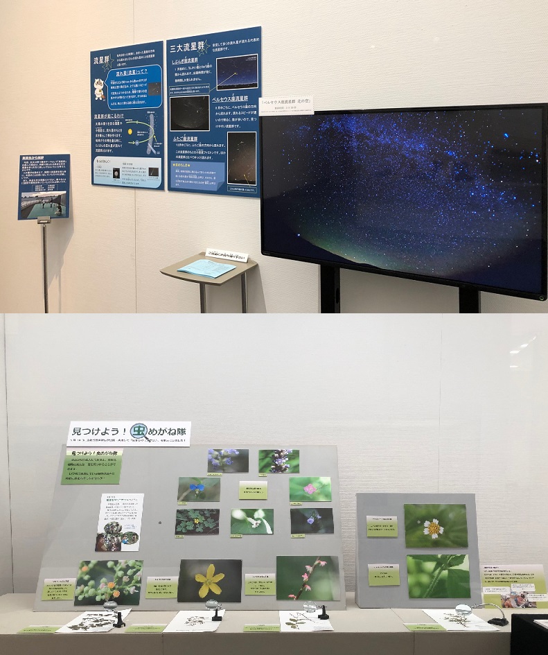 ミニ展示合同企画展「相州 三増峠図／岩崎賀都彰が描いた宇宙／博物館実習生展」