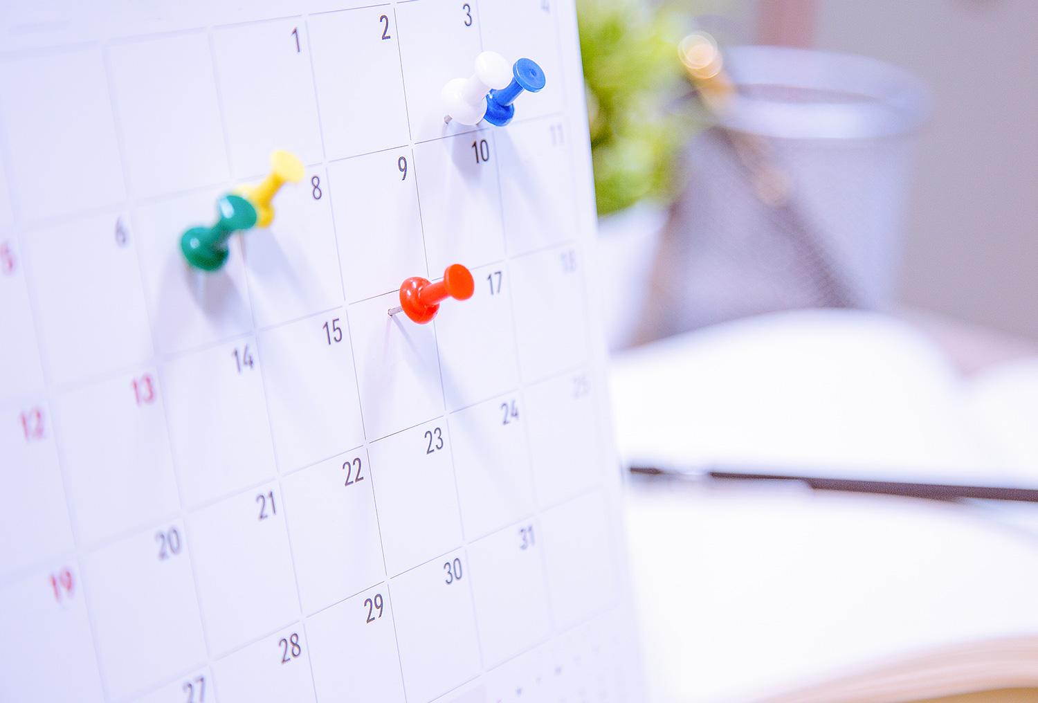 番組紹介・投影スケジュール